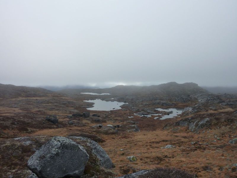 2010-10-15-1355_-_Terræn