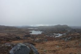 2010-10-15-1355_-_Terræn
