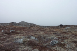2010-10-15-1408_-_Terræn