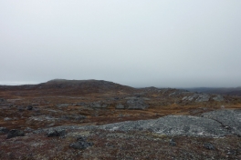 2010-10-15-1414_-_Terræn