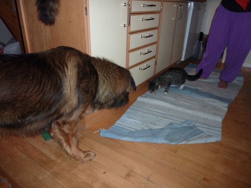 2010-10-20-2044_-_Djanco