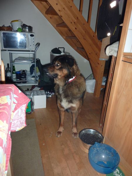 2010-10-20-2145_-_Djanco