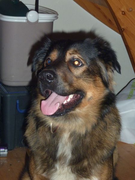 2010-10-20-2146_-_Djanco