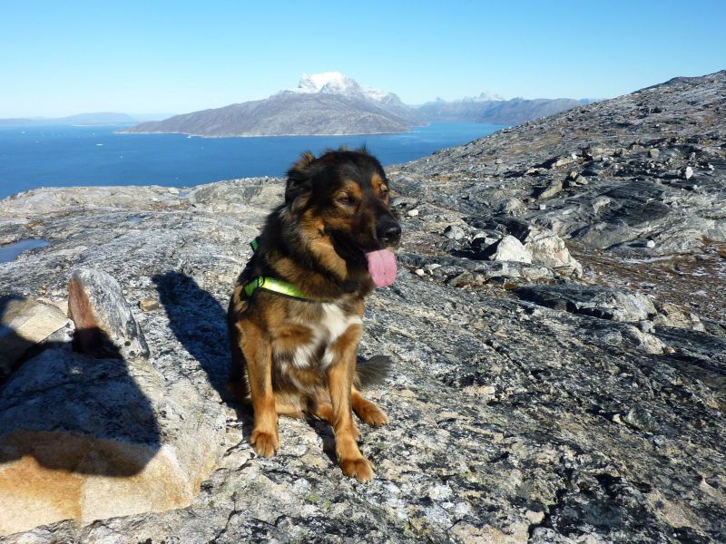 2010-10-04-1342_-_Djanco; Sermitsiaq