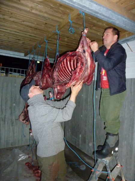 2010-10-19-2000_-_Henrik Steinbacher; Rensdyrkød; Svend Sværd