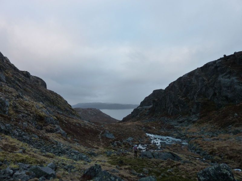 Ved mundingen af Buksefjorden
