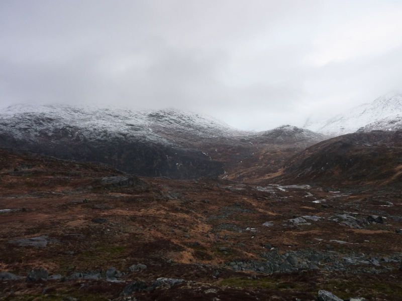 Ved mundingen af Buksefjorden