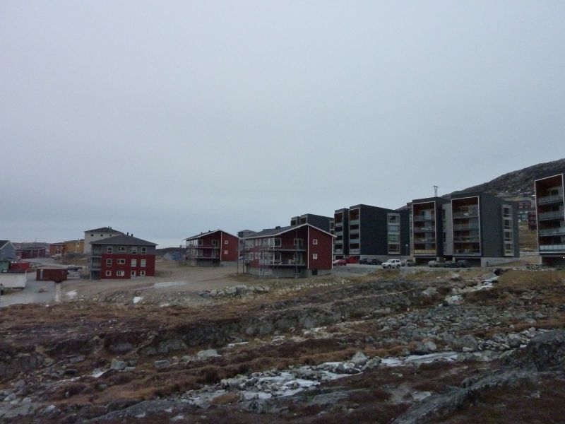 2010-11-26-1326_-_Pupik