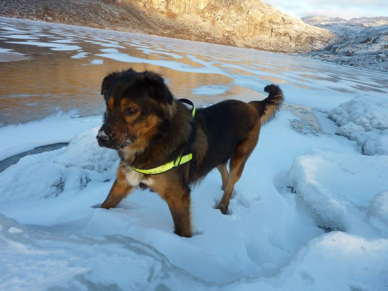 2010-11-03-1543_-_Bedste_1; Djanco; Vandsø