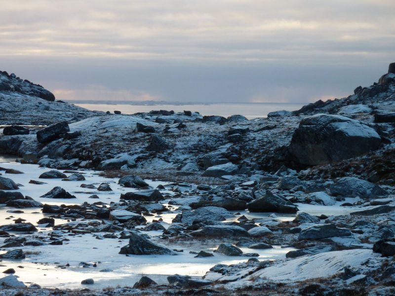 2010-11-03-1548_-_-