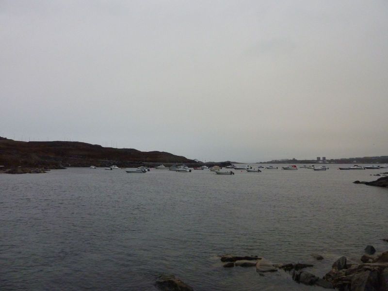 2010-11-29-1229_-_-