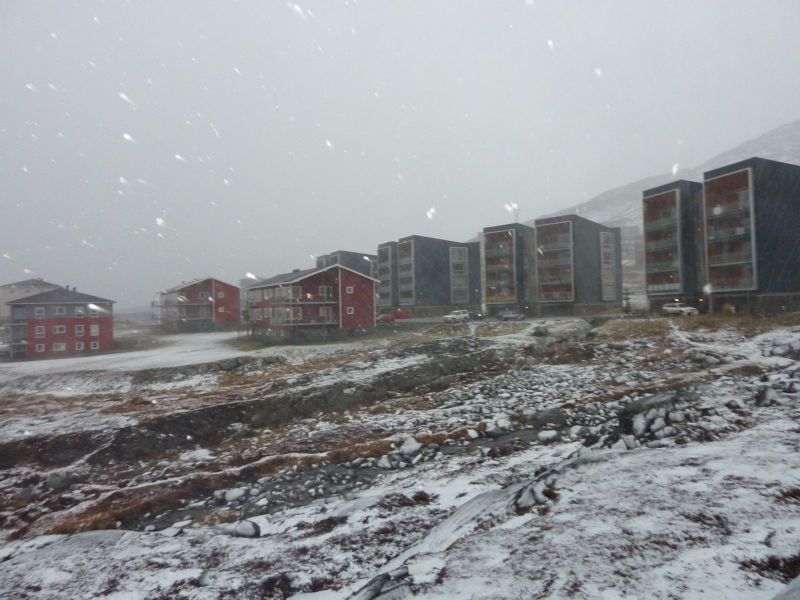 2010-12-02-1213_-_Pupik