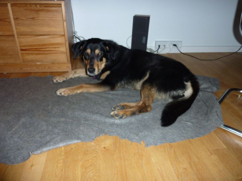 2010-12-25-0328_-_Quna