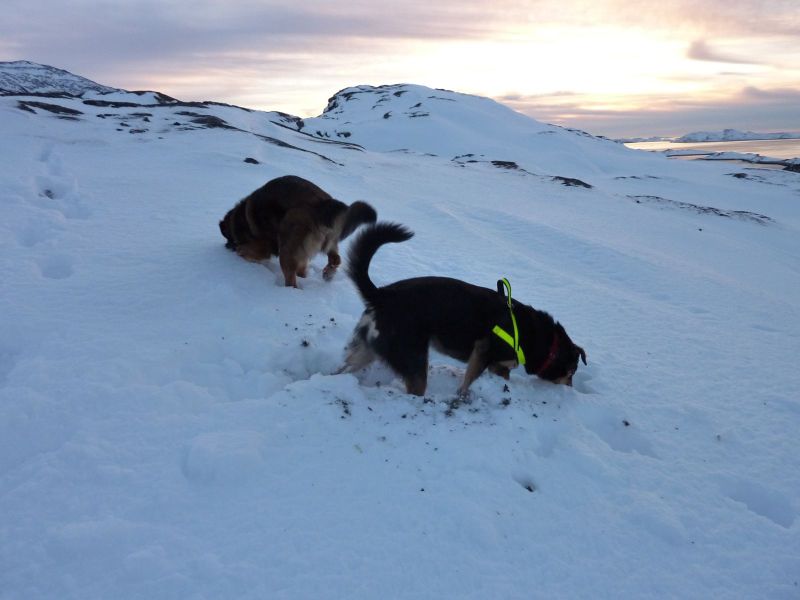 2010-12-25-1416_-_Djanco; Quna