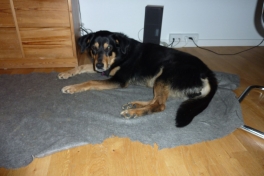 2010-12-25-0328_-_Quna