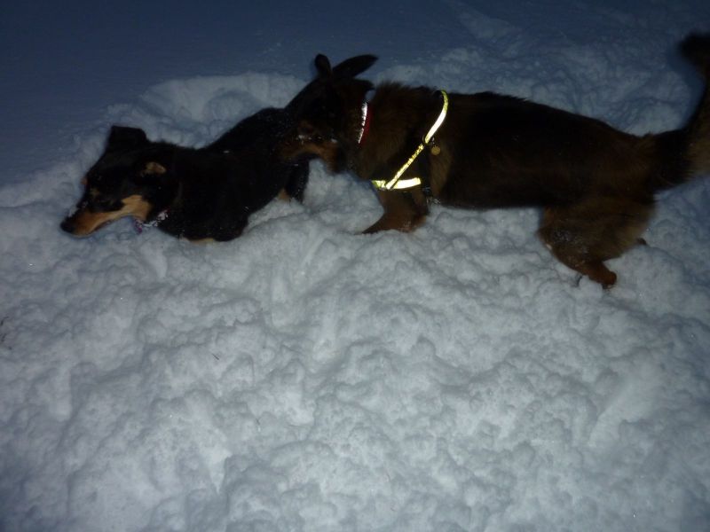 2010-12-23-1005_-_Djanco; Quna