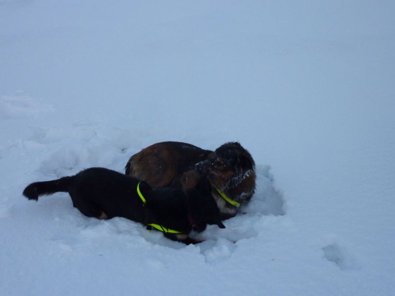 2010-12-28-1151_-_Djanco; Quna_12
