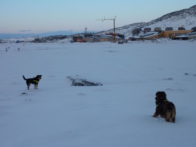 2010-12-28-1151_-_Djanco; Quna_14