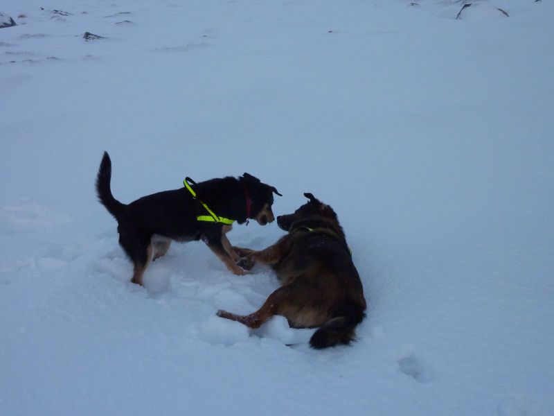2010-12-28-1151_-_Djanco; Quna_3