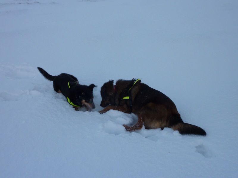 2010-12-28-1151_-_Djanco; Quna_4