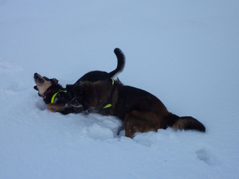2010-12-28-1151_-_Djanco; Quna_5
