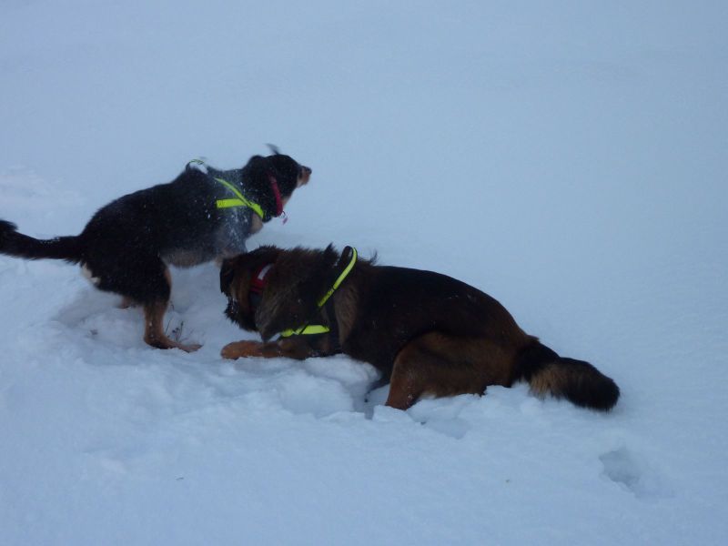 2010-12-28-1151_-_Djanco; Quna_9