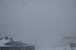 Udsigt fra terrassen