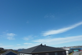 2010-08-13-1121_-_Dash8; Pupik 4-102; Ral-skib; Udsigt fra altan