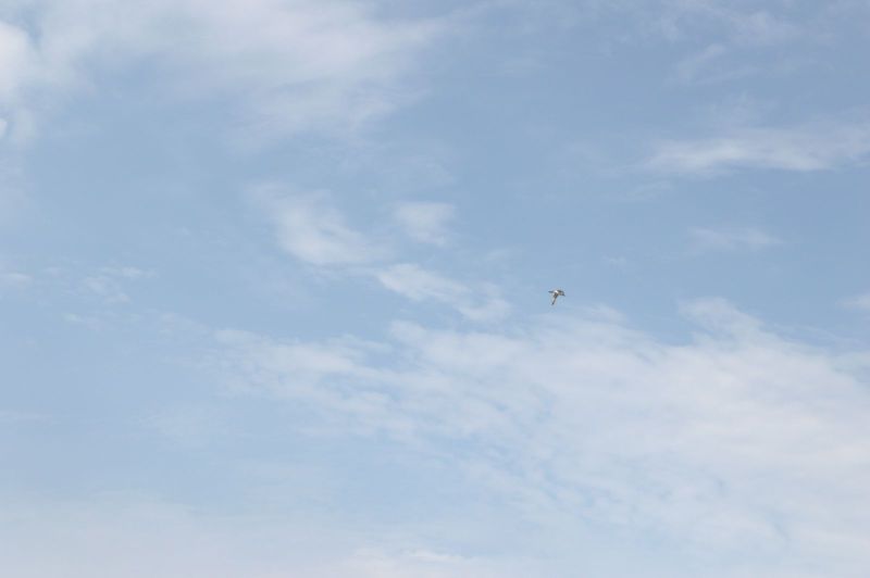 2014-07-20-1326_-_Gaas