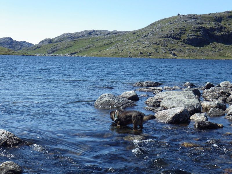 2014-07-24-1232_-_Djanco