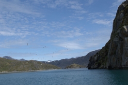 2014-07-23-1601_-_Maage