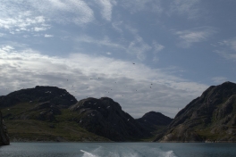 2014-07-23-1601_-_Maage_3