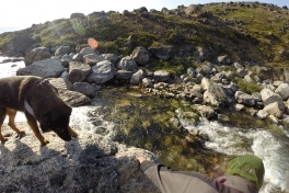 DCIM\101GOPRO