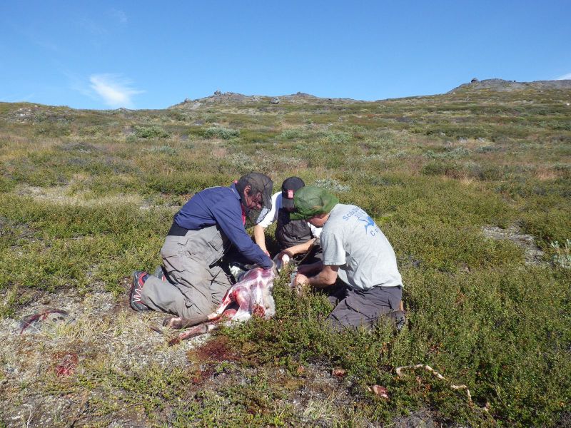 2014-08-30-1049_-_Soeren_Labansen_Tom_Pedersen_Vilhelm_Klausen