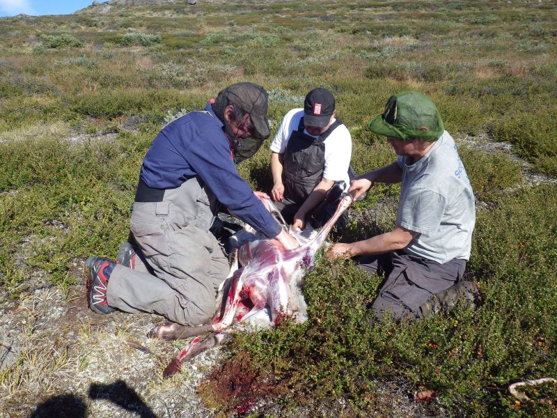 2014-08-30-1049_-_Soeren_Labansen_Tom_Pedersen_Vilhelm_Klausen_2