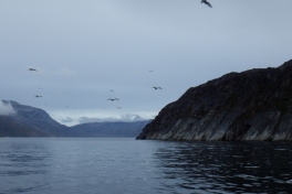 2014-09-07-1609_-_Maage