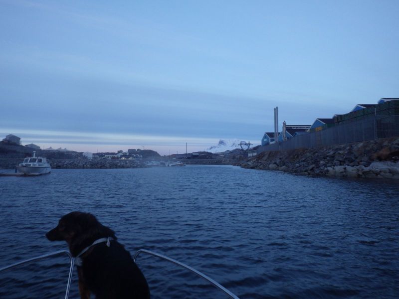 2014-10-20-1640_-_Djanco_Gode_1_Sermitsiaq