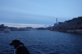 2014-10-20-1640_-_Djanco_Gode_1_Sermitsiaq