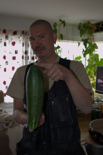 2014-06-02-1644_958-g-Hjemmedyrket-agurk_Agurk_Gode_1_Palle-Hjort-Sandgreen