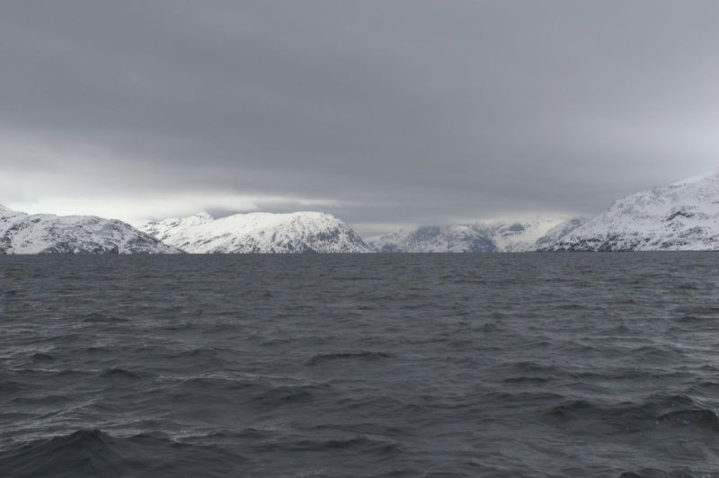 2015-05-23-1241_-_Gode_1