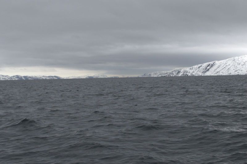 2015-05-23-1242_-_Gode_1