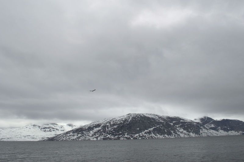 2015-05-25-1328_-_Gode_1__oern