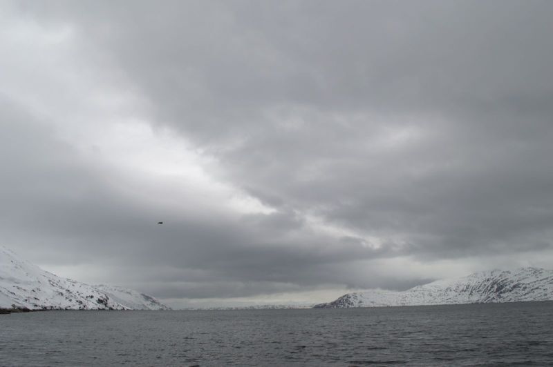 2015-05-25-1328_-_Gode_1__oern_2__2_