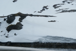 2015-06-06-1402_-_Gode_1__Havoern