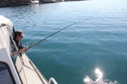 2015-06-26-1441_-_Bedste_1