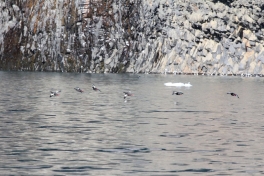 2015-06-29-1811_-_Tejst