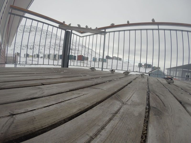 DCIM\116GOPRO