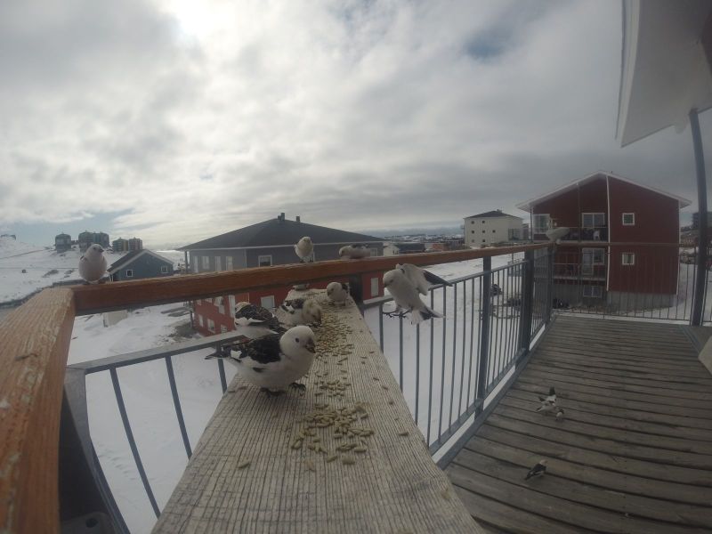 DCIM\116GOPRO