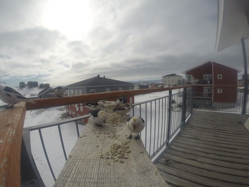 DCIM\116GOPRO