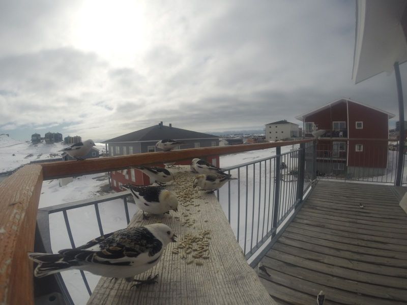 DCIM\116GOPRO